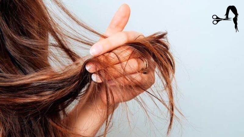 should you wash your hair everyday